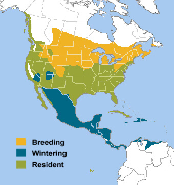 Great Blue Heron range map by ABC