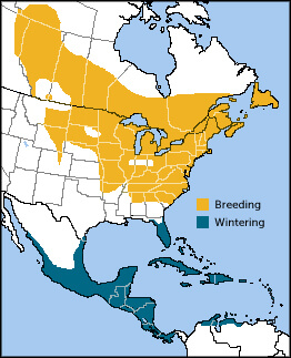 Ovenbird range map by ABC