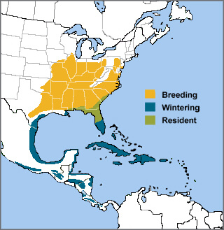 Yellow-throated Warbler range map by ABC