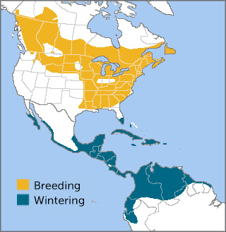 American Redstart range map by ABC
