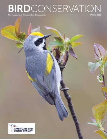 Bird Conservation - American Bird Conservancy