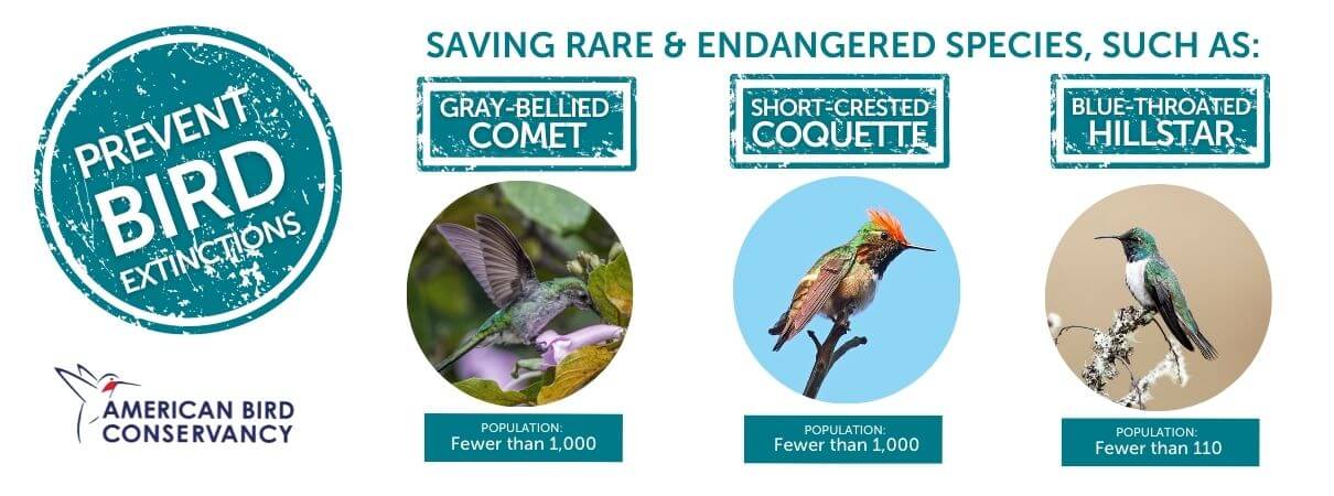 Preventing Bird Extinctions fund