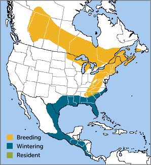 Blue-headed Vireo range map by ABC