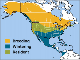 Northern Harrier range map by ABC