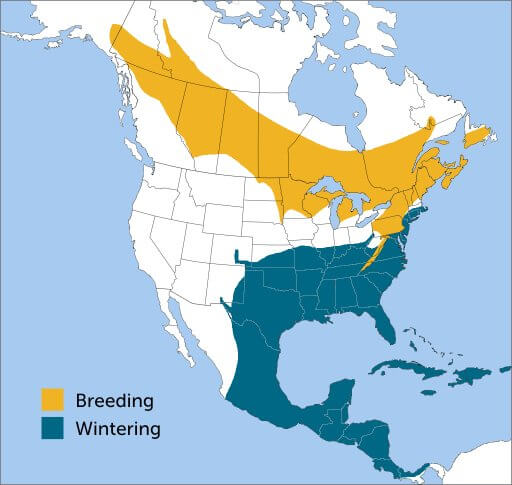 Yellow-bellied Sapsucker map by ABC