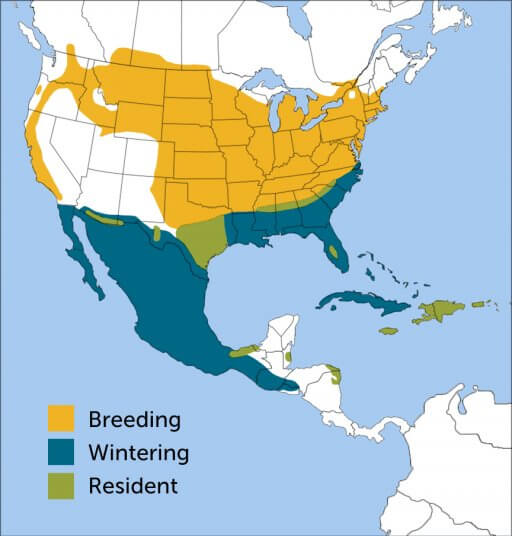 Grasshopper Sparrow map by ABC