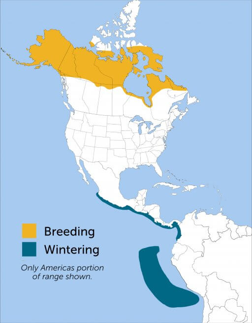 Red-necked Phalarope range map by ABC