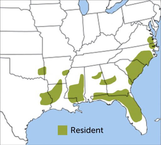 Red-cockaded Woodpecker map by ABC