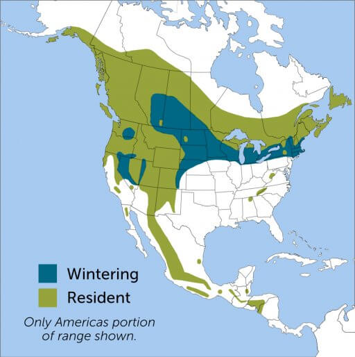 Red Crossbill range map by ABC