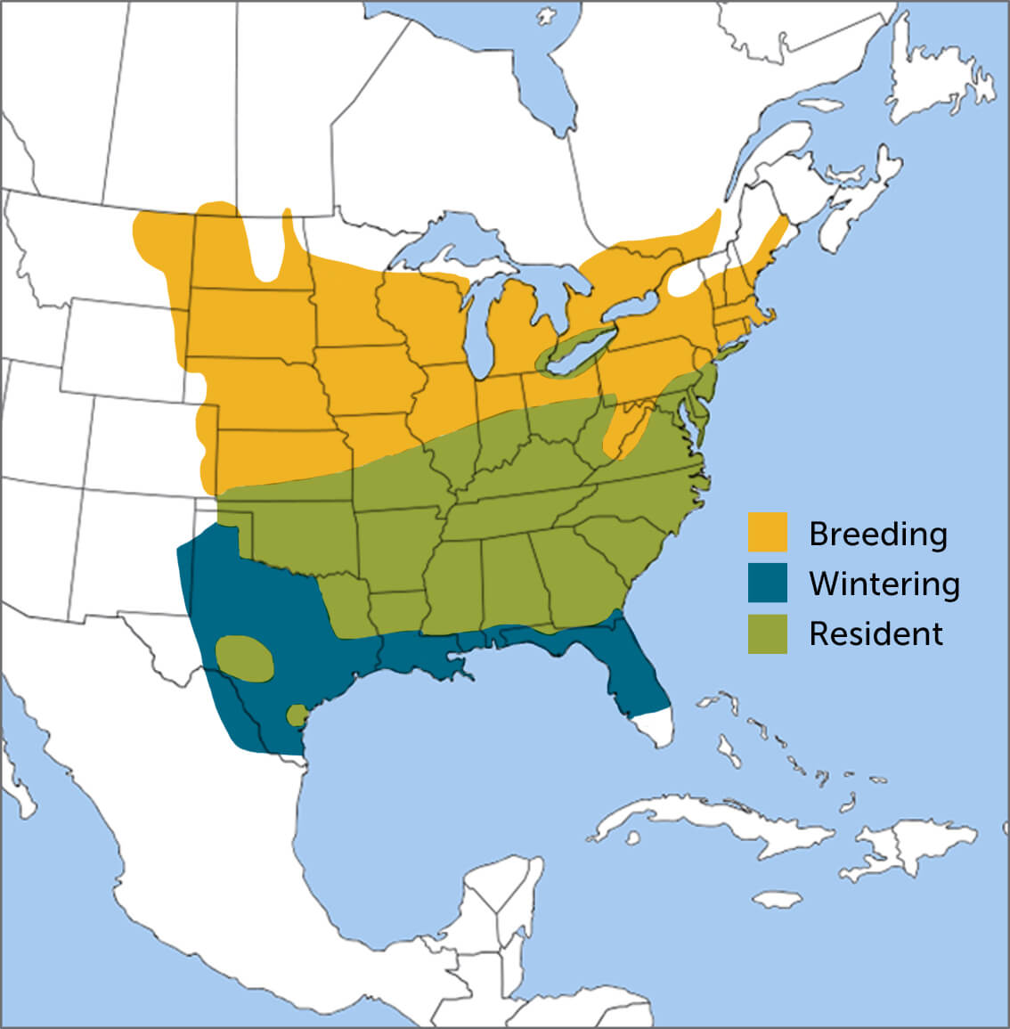 Field Sparrow range map by ABC