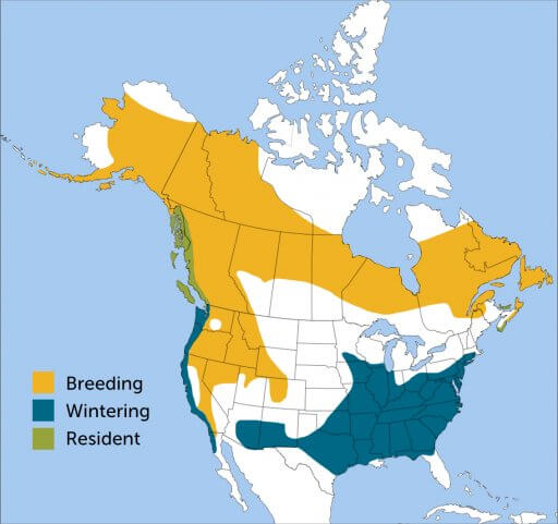 Fox Sparrow range map by ABC