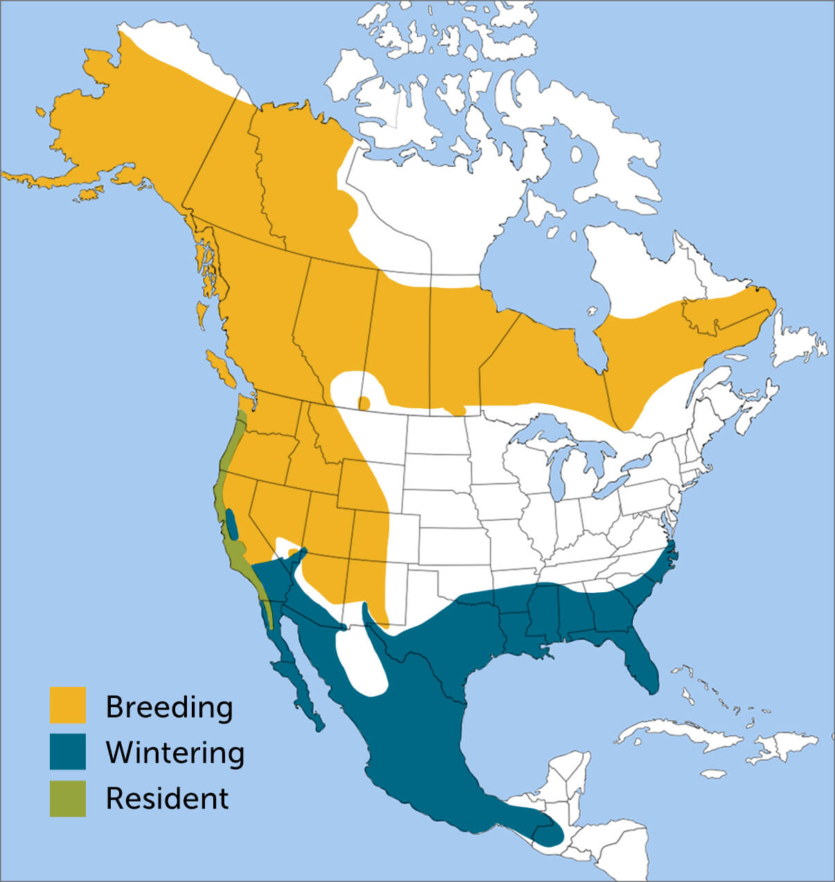 Orange-crowned Warbler range map by ABC