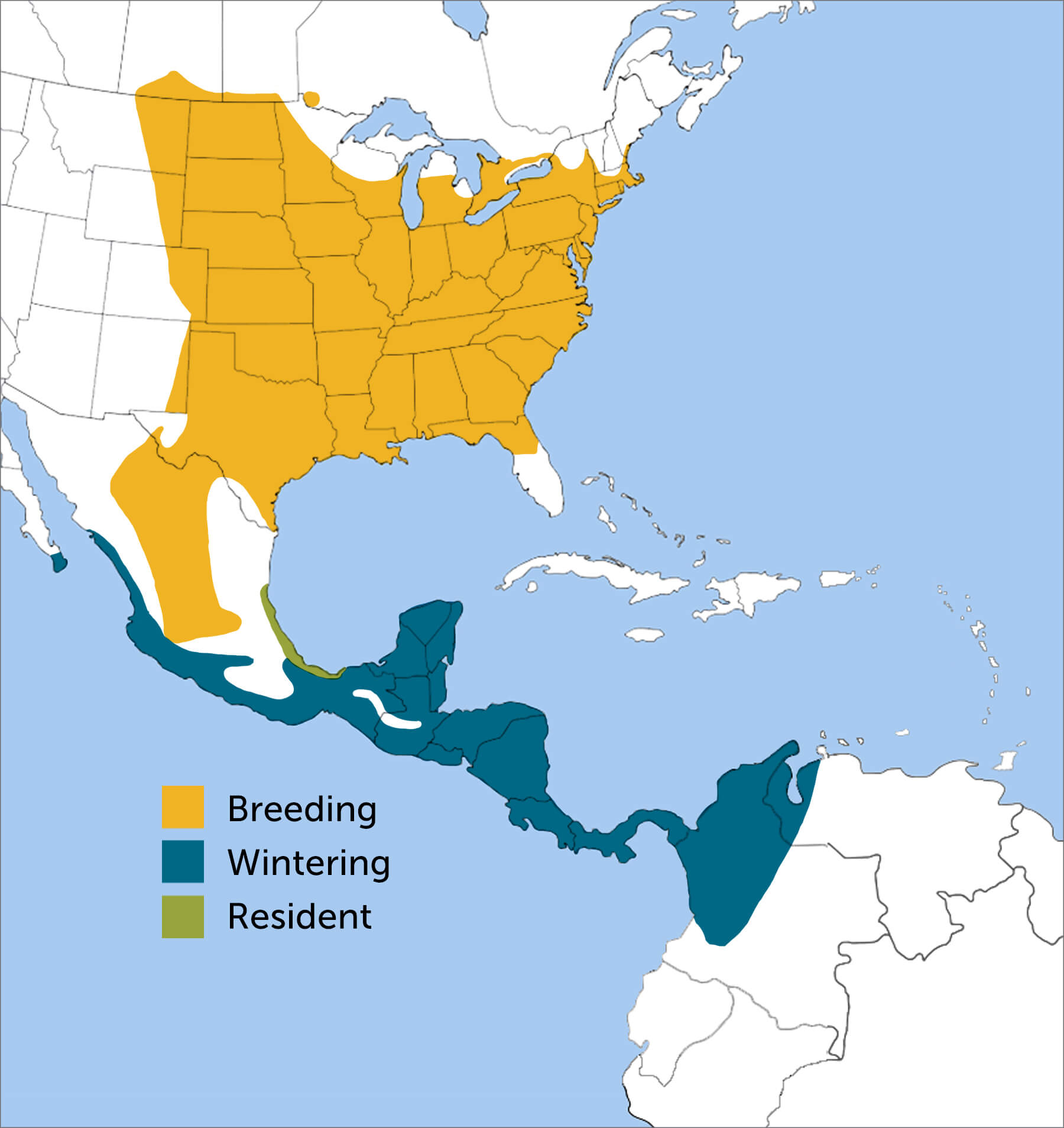 Orchard Oriole range map by ABC