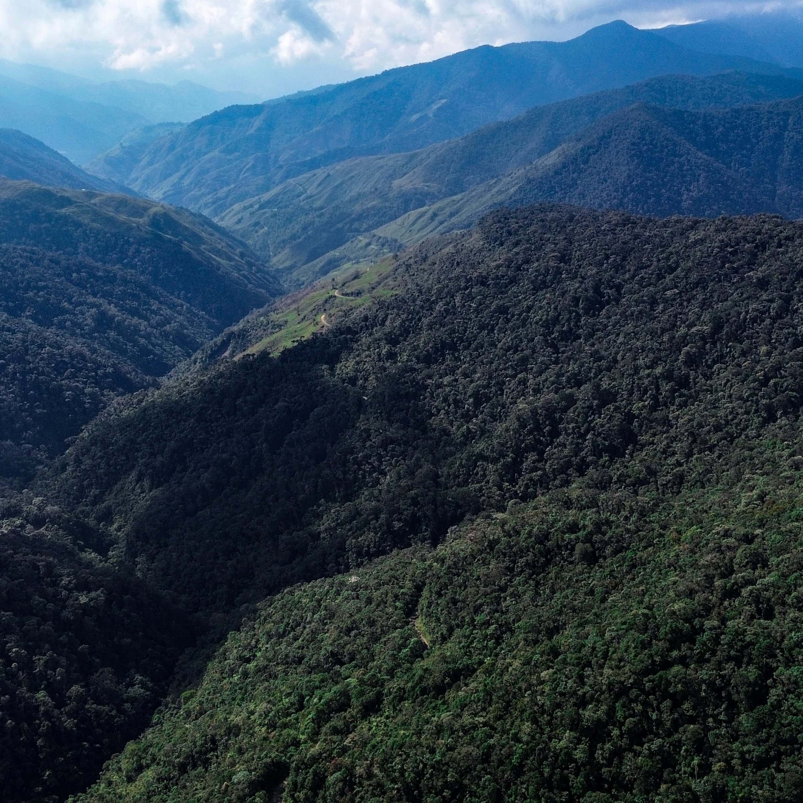 Two Colombian Reserves Receive Regional Natural Park Protected Status ...