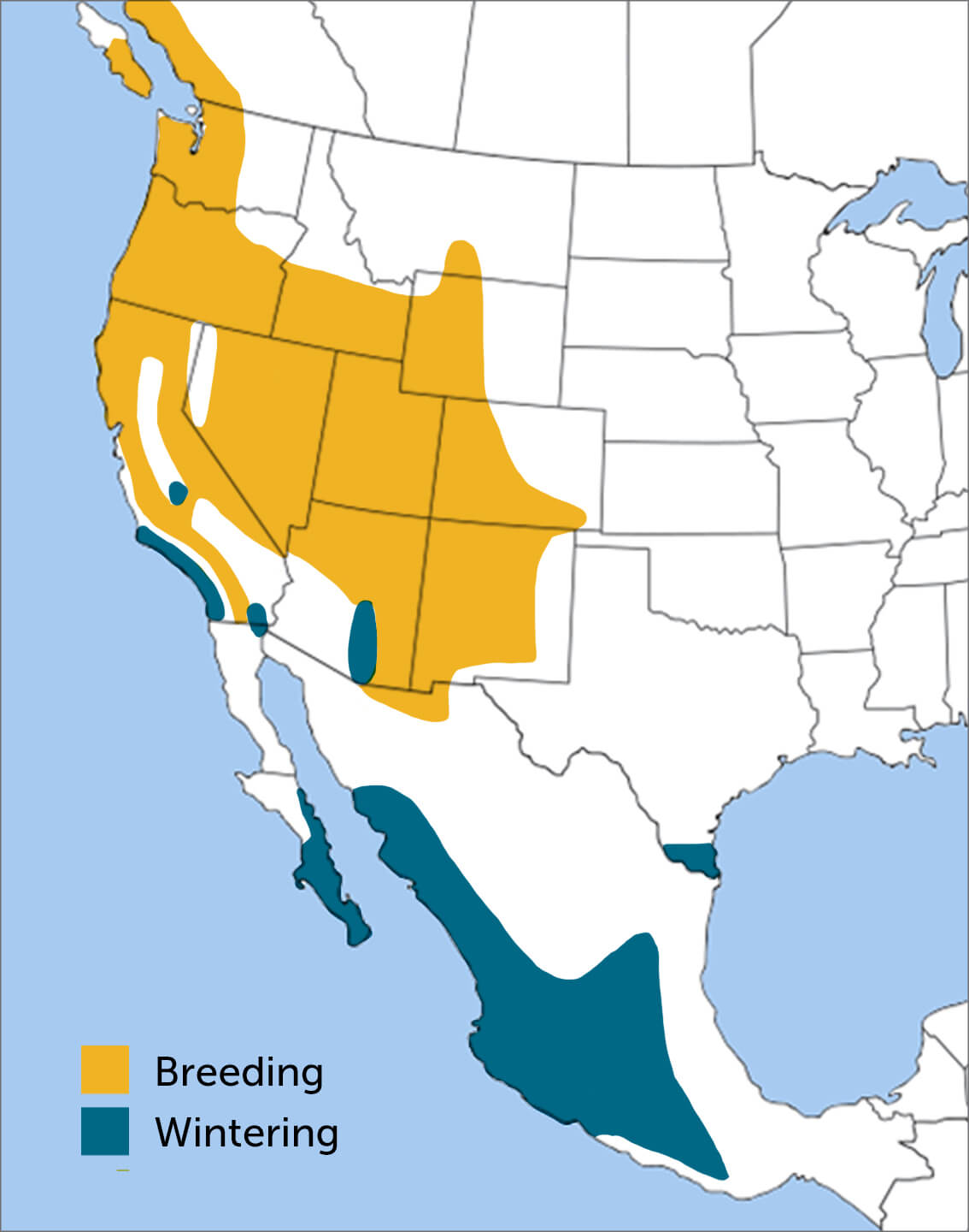 Black-throated Gray range map by ABC