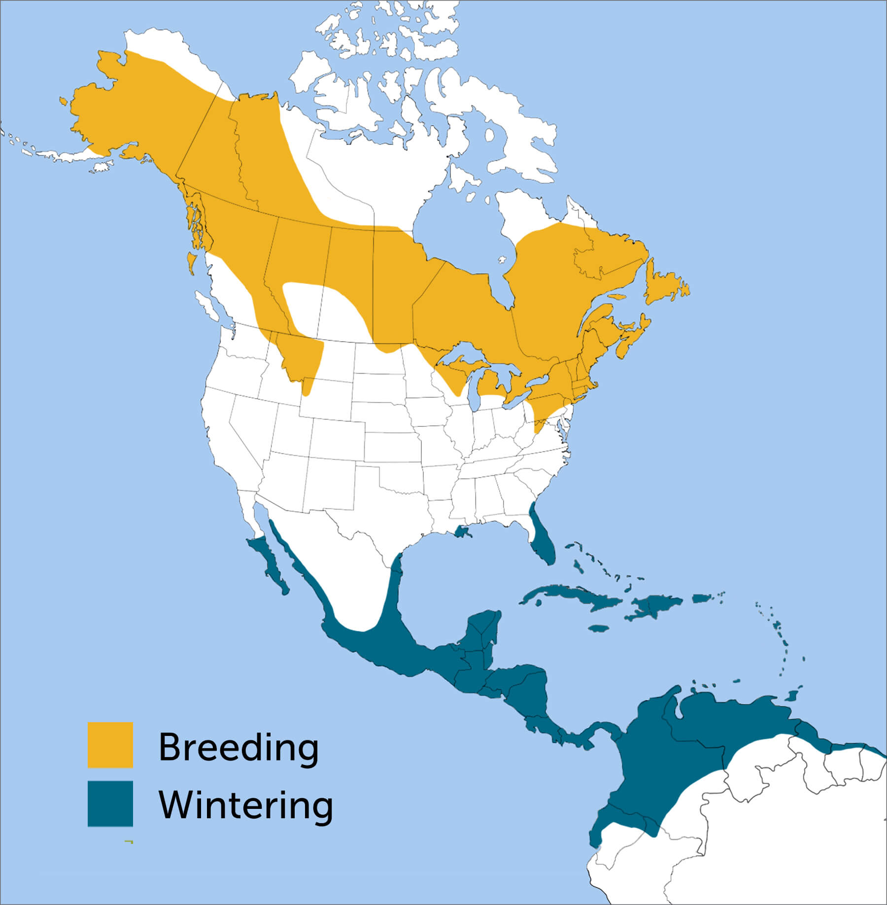 Northern Waterthrush map by ABC