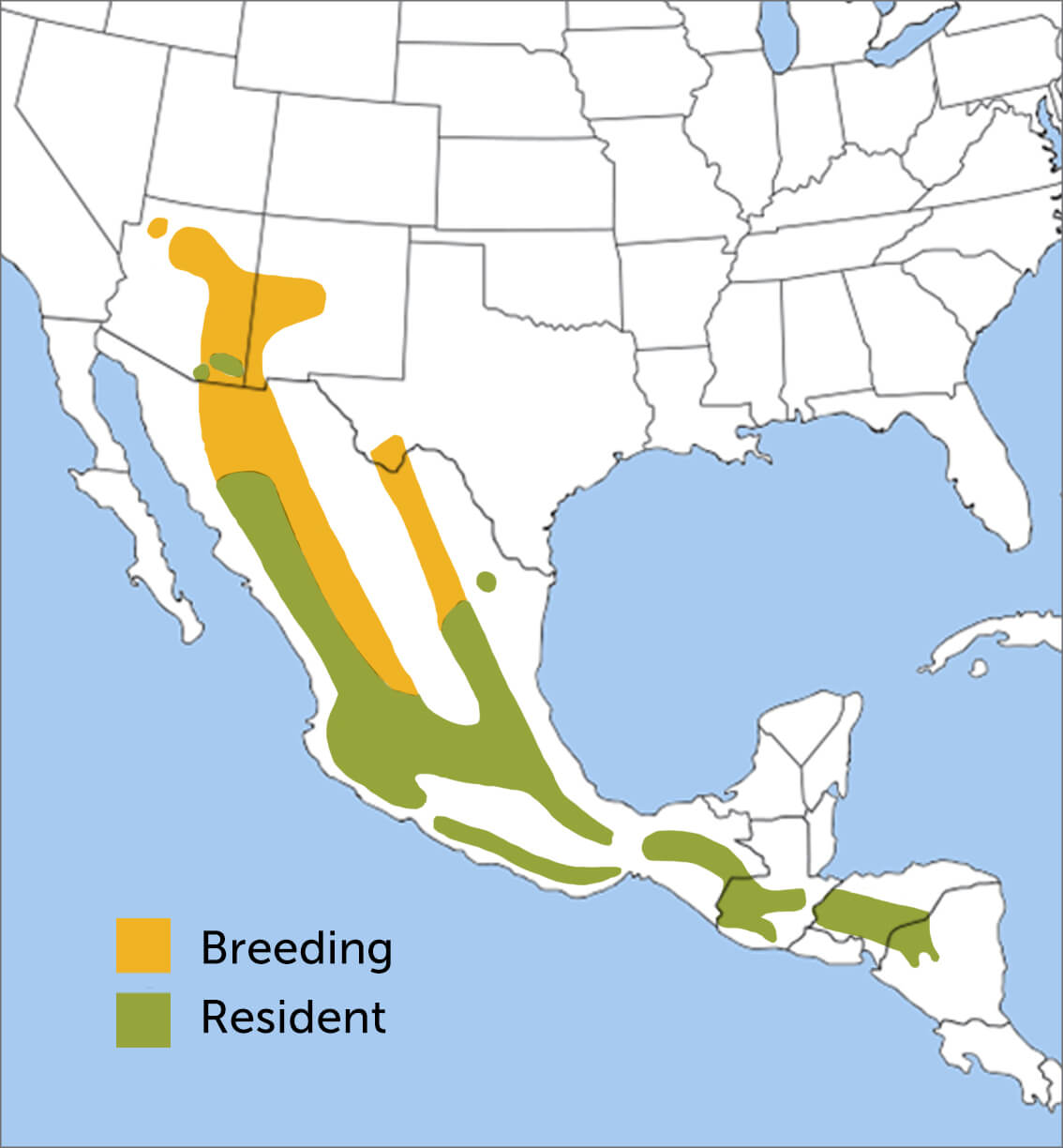 Painted Redstart range map by ABC