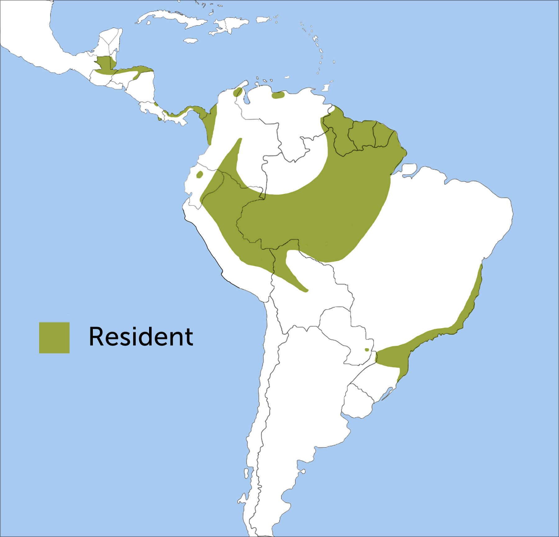 Crested Eagle range map by ABC