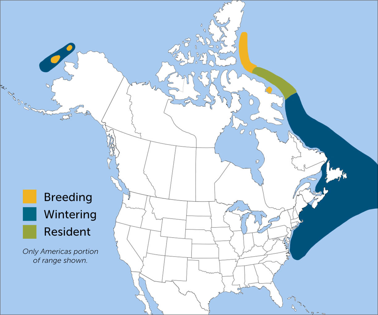 Dovekie range map by ABC