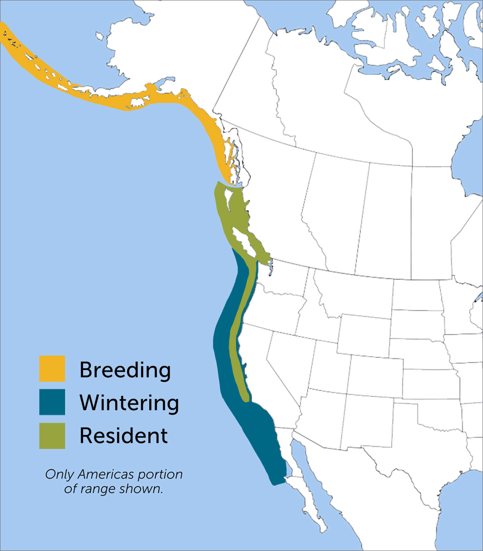 Rhinoceros Auklet range map by ABC