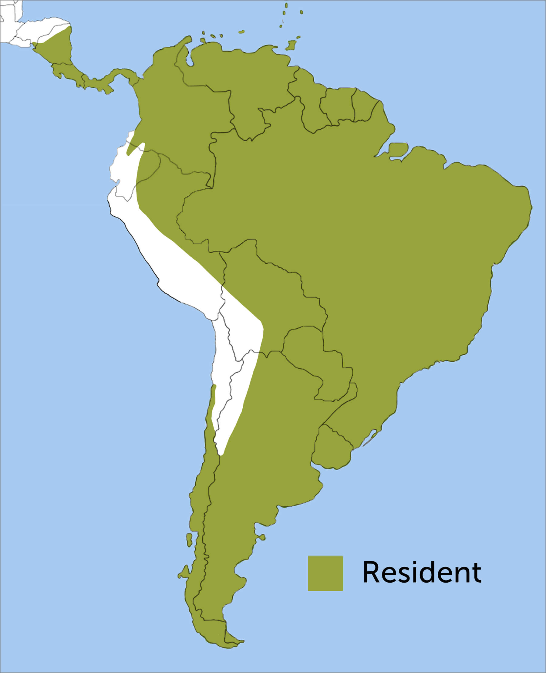 Southern Lapwing range map by ABC