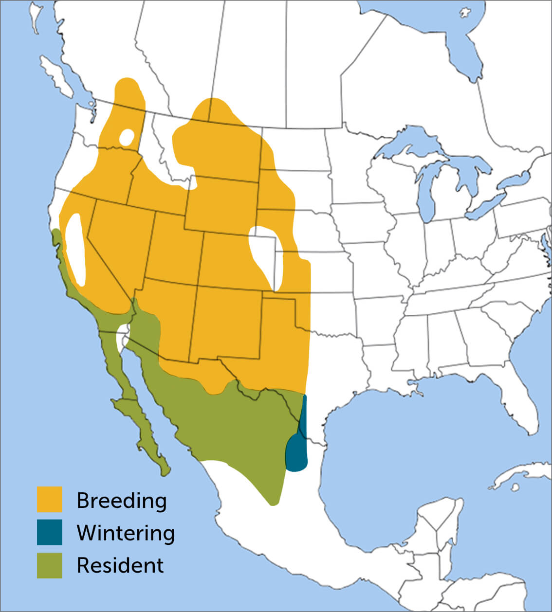 Common Poorwill range map by ABC