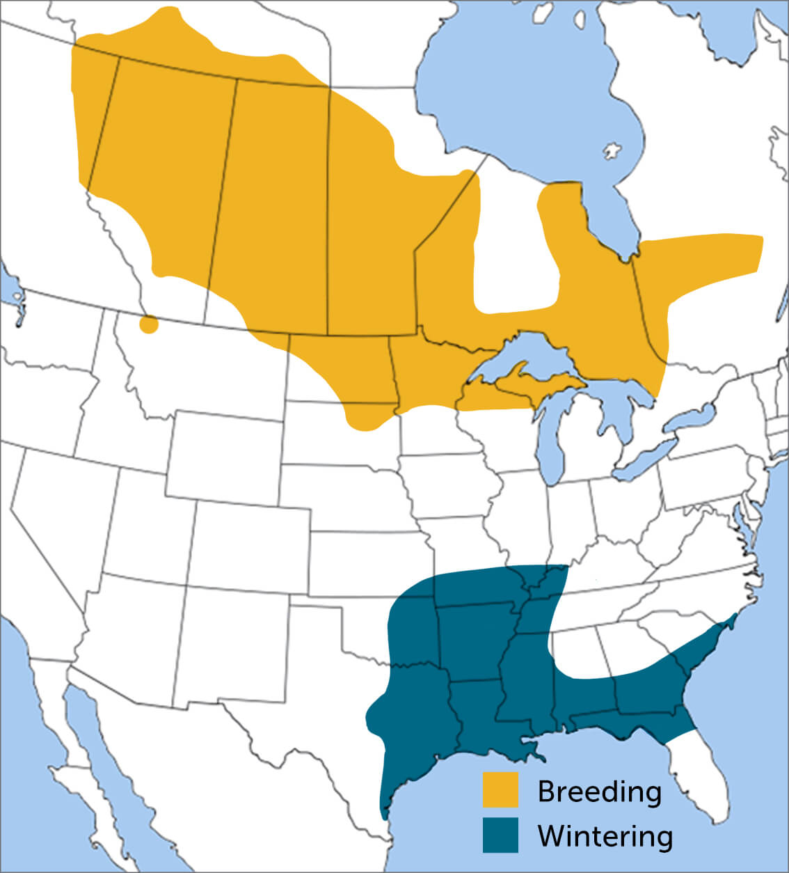 LeConte's Sparrow range map by ABC