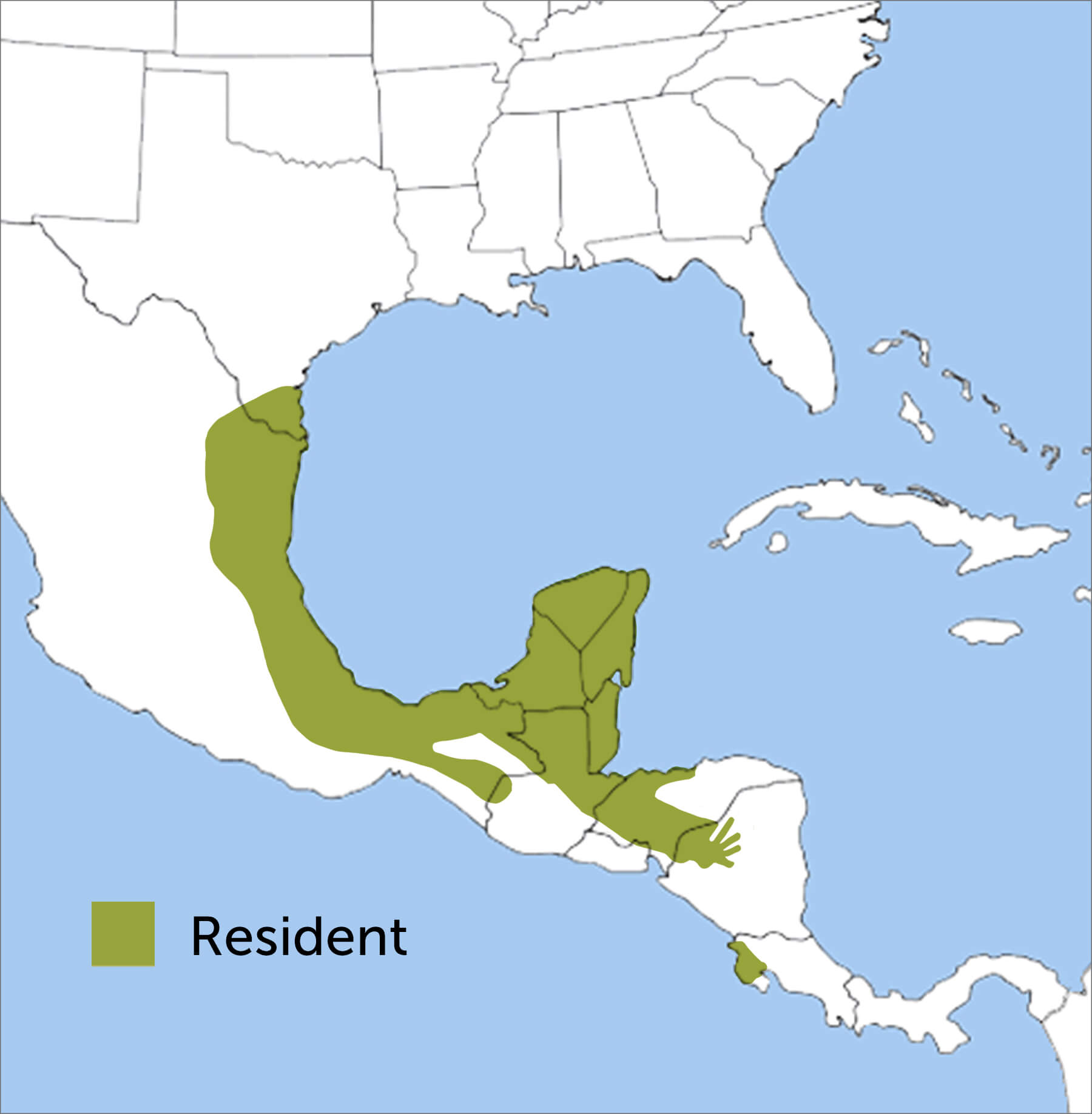 Plain Chachalaca range map by ABC