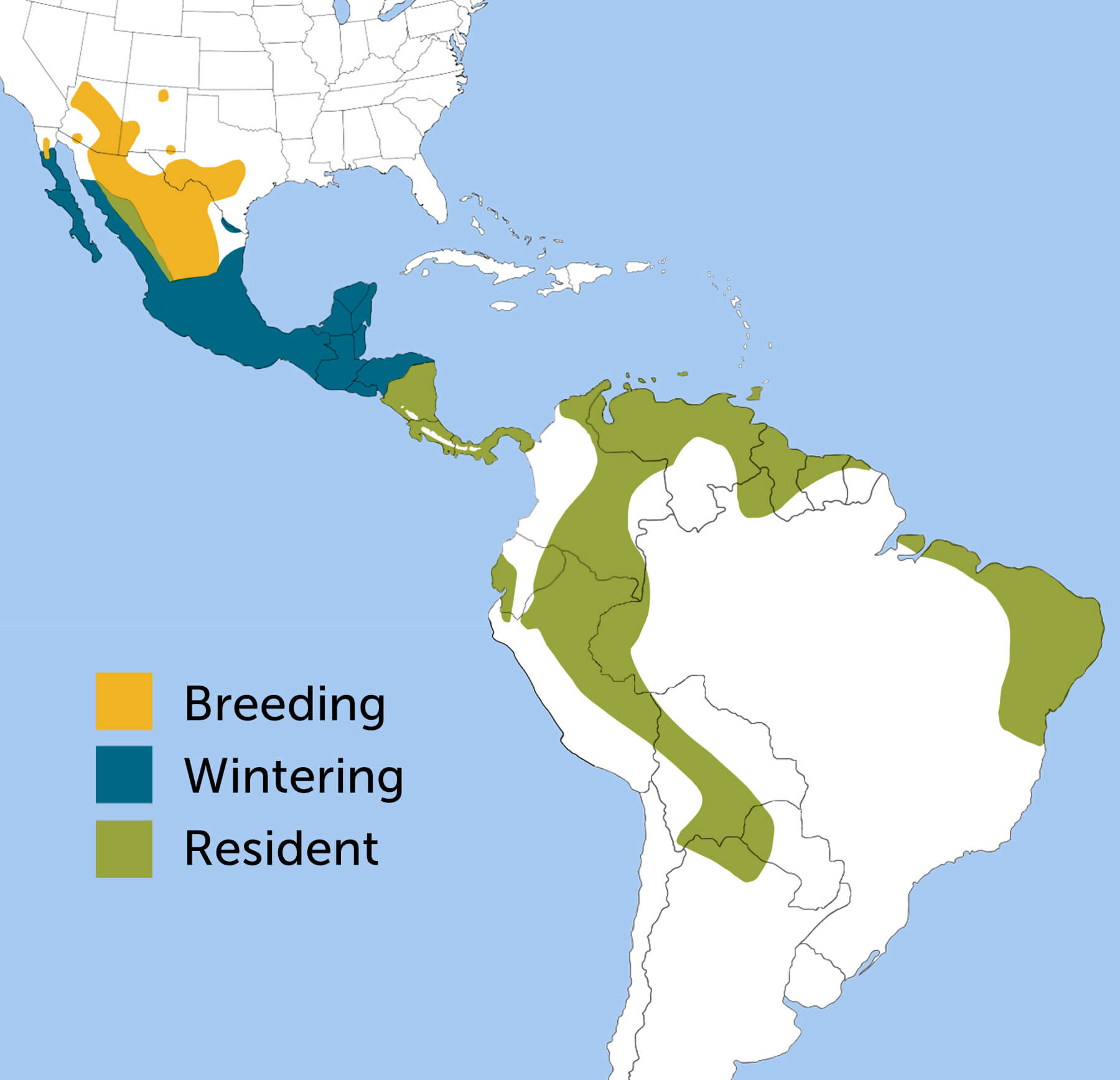 Zone-tailed Hawk range map by ABC