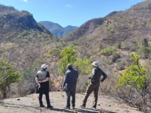 A group birders gather on a mountain peak.