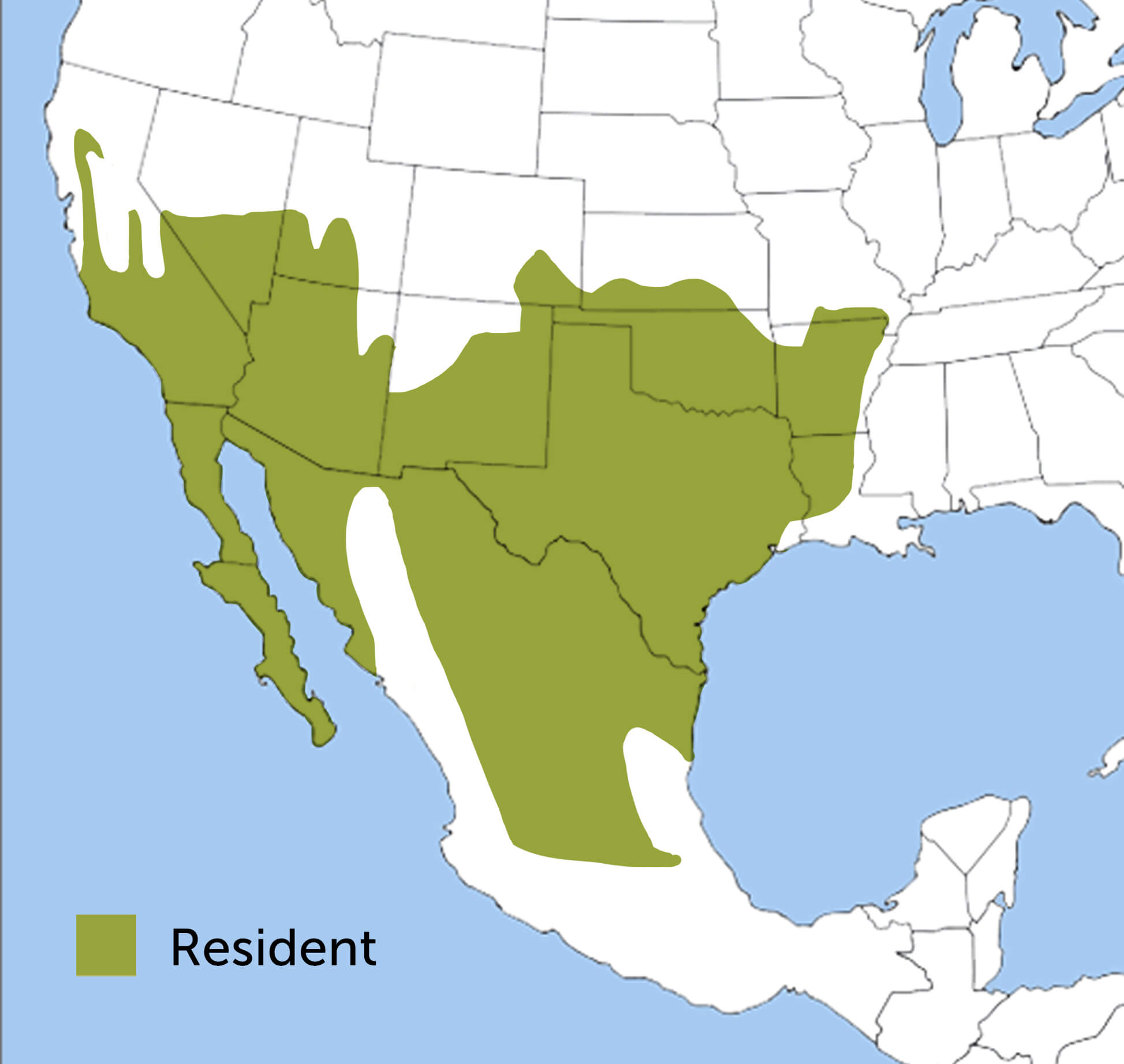 Greater Roadrunner range map by ABC