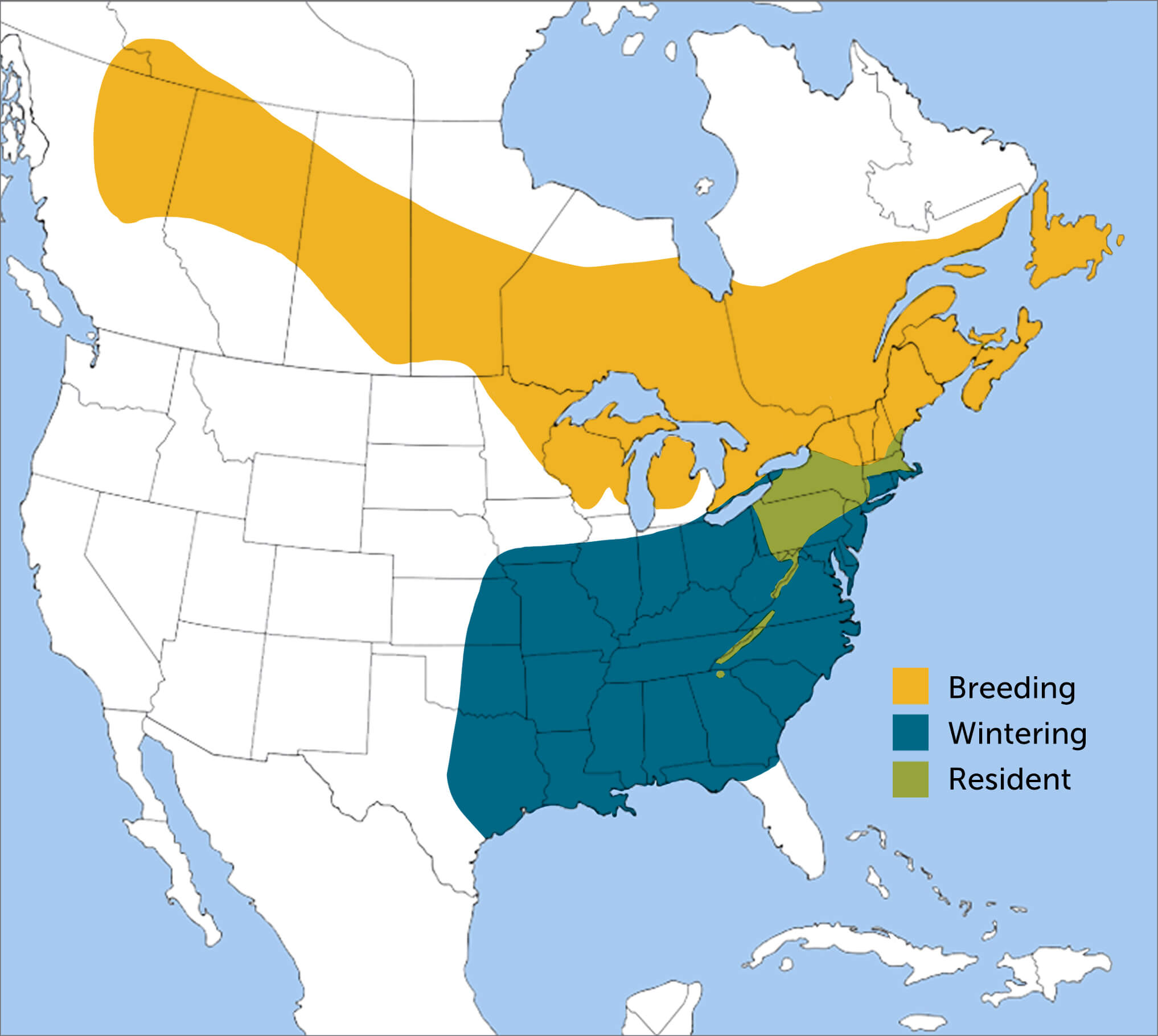 Winter Wren range map by ABC