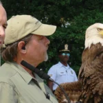 Interior Secretary Dick Kempthorne announces the Bald Eagle's delisting at a ceremony on the steps of the Jefferson Memorial in Washington, D.C., in 2007. Photo by Mike Parr