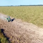 Firebreak creation at Barba Azul/Tjalle Boorsma