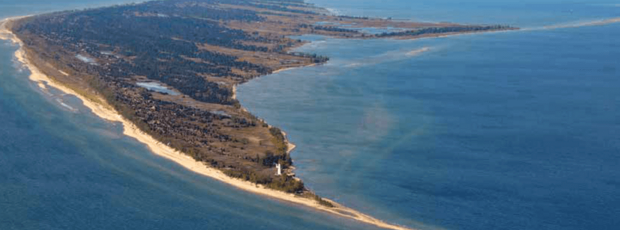 Lessons from Long Point: Restlessness Defines Migration And Those Who Study It