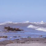 The author atop a bird blind at the tip of Long Point Peninsula, April 1984.