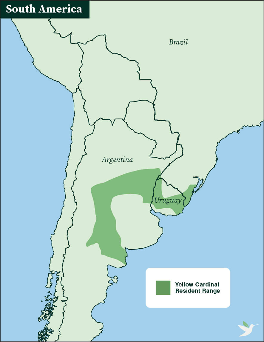 Yellow Cardinal range map by ABC