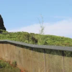 Predator-proof fencing, shown here on Kaua'i, protects seabirds on some of the main Hawaiian Islands. Photo by Ann Bell/FWS.