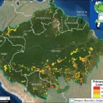 Forest Loss in Amazonia