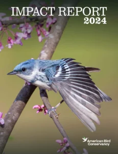 Impact Report 2024 Cover