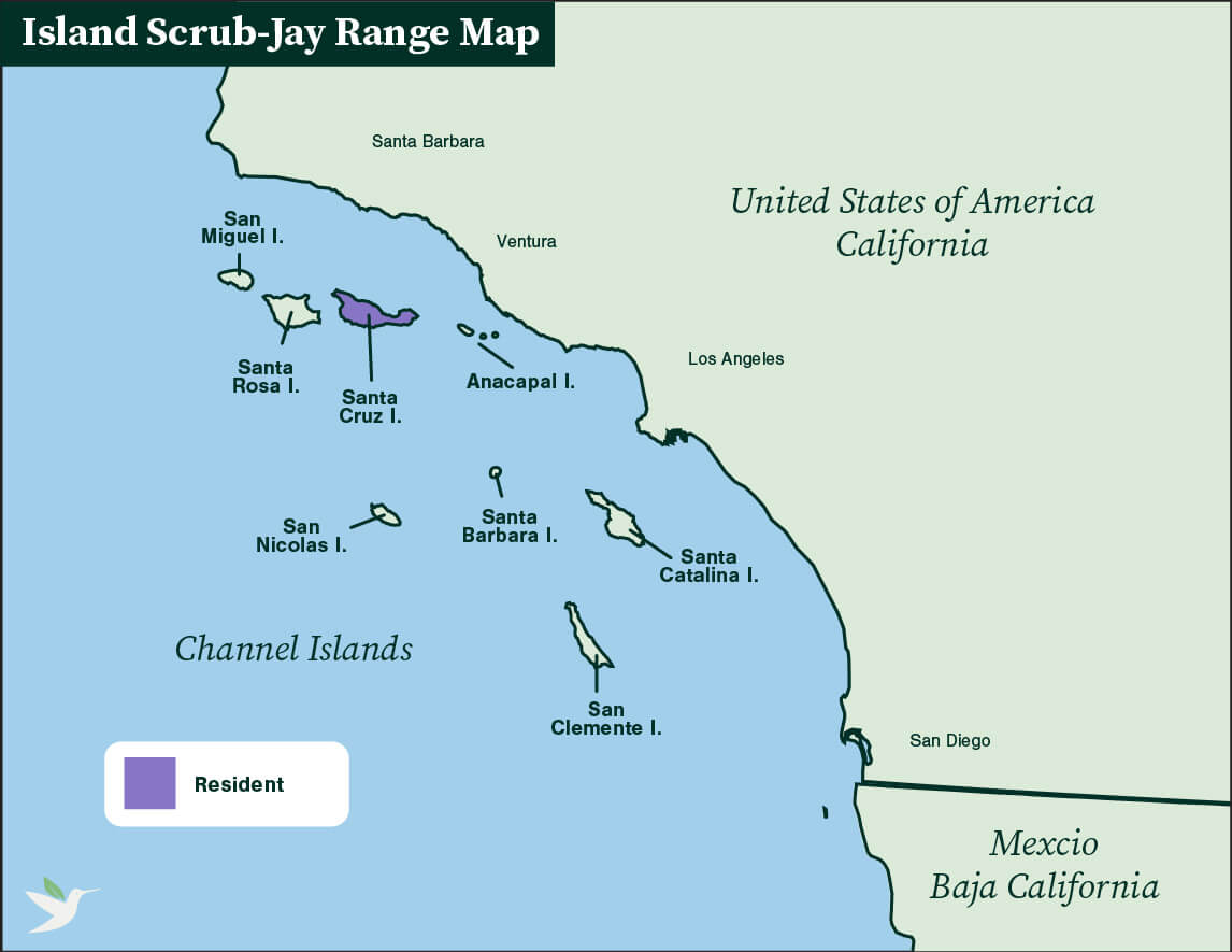 Island Scrub-Jay range map by ABC