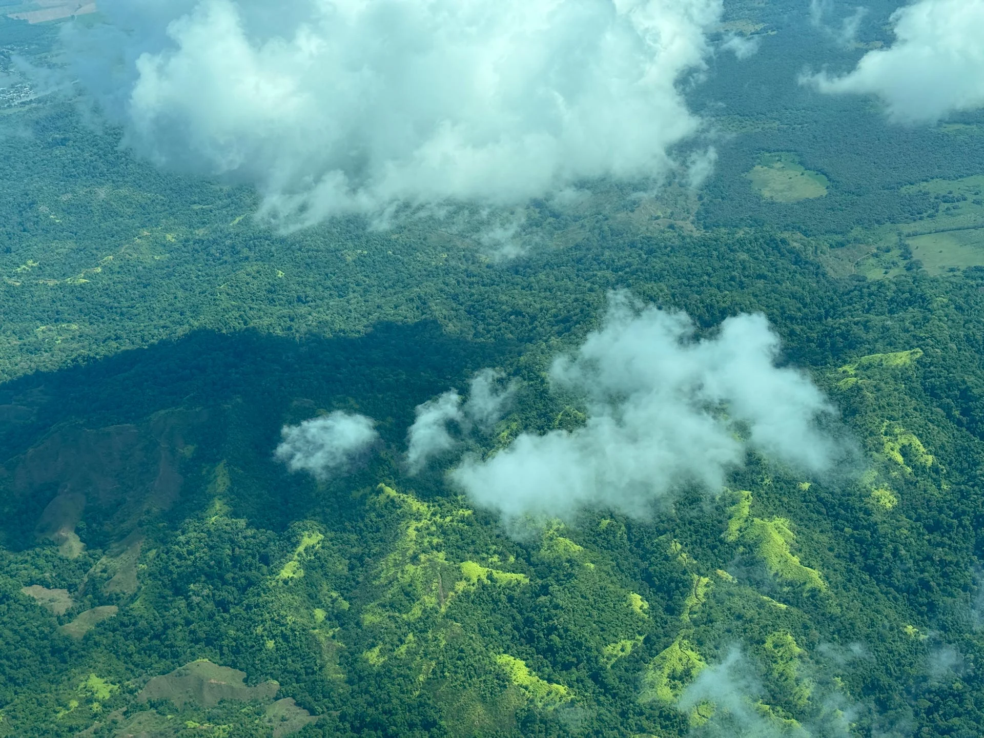 Aerial view a rainforest habitat over a mountain with clouds.