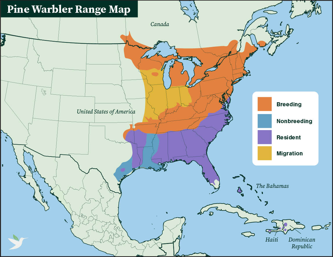 Pine Warbler range map by ABC