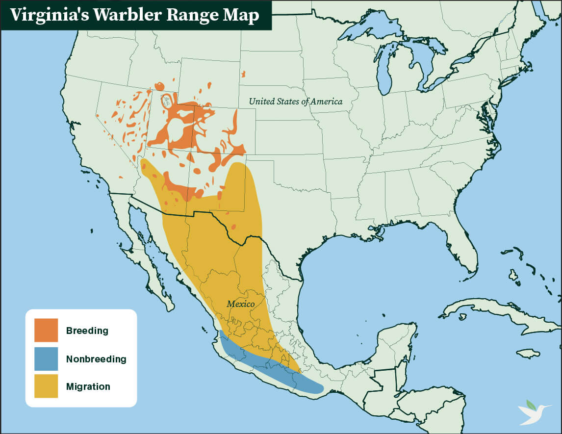 Virginia's Warbler range map by ABC