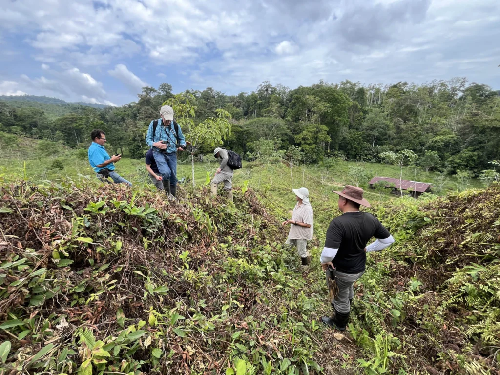 Experts from ABC and our partners work throughout the Americas to conserve birds and their habitats.