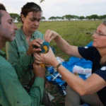 Lucas Carrara, Luciene Carrara, and Lisa Davenport place a tracker on a Blue-throated Macaw to learn more about its movements and migration. Photo by Tjalle Boorsma.