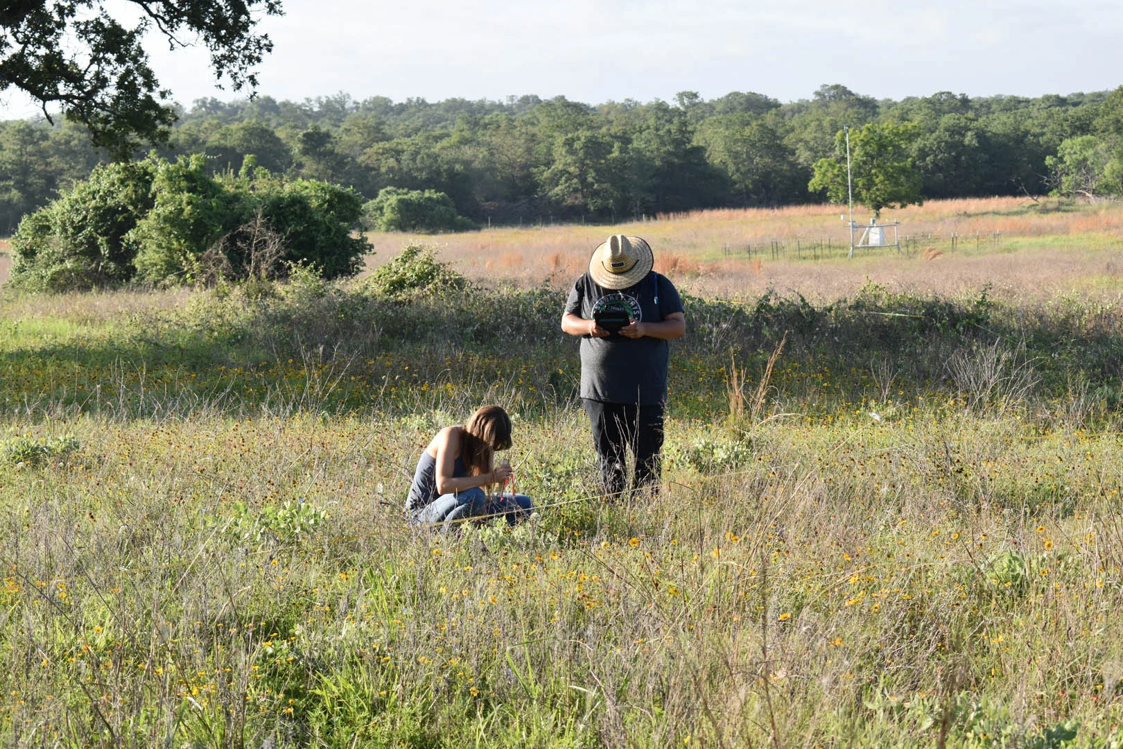 Experts from ABC and our partners work throughout the Americas to conserve birds and their habitats.