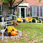 Spooky Tips to Ensure Only Treats and No Tricks for Birds This Halloween