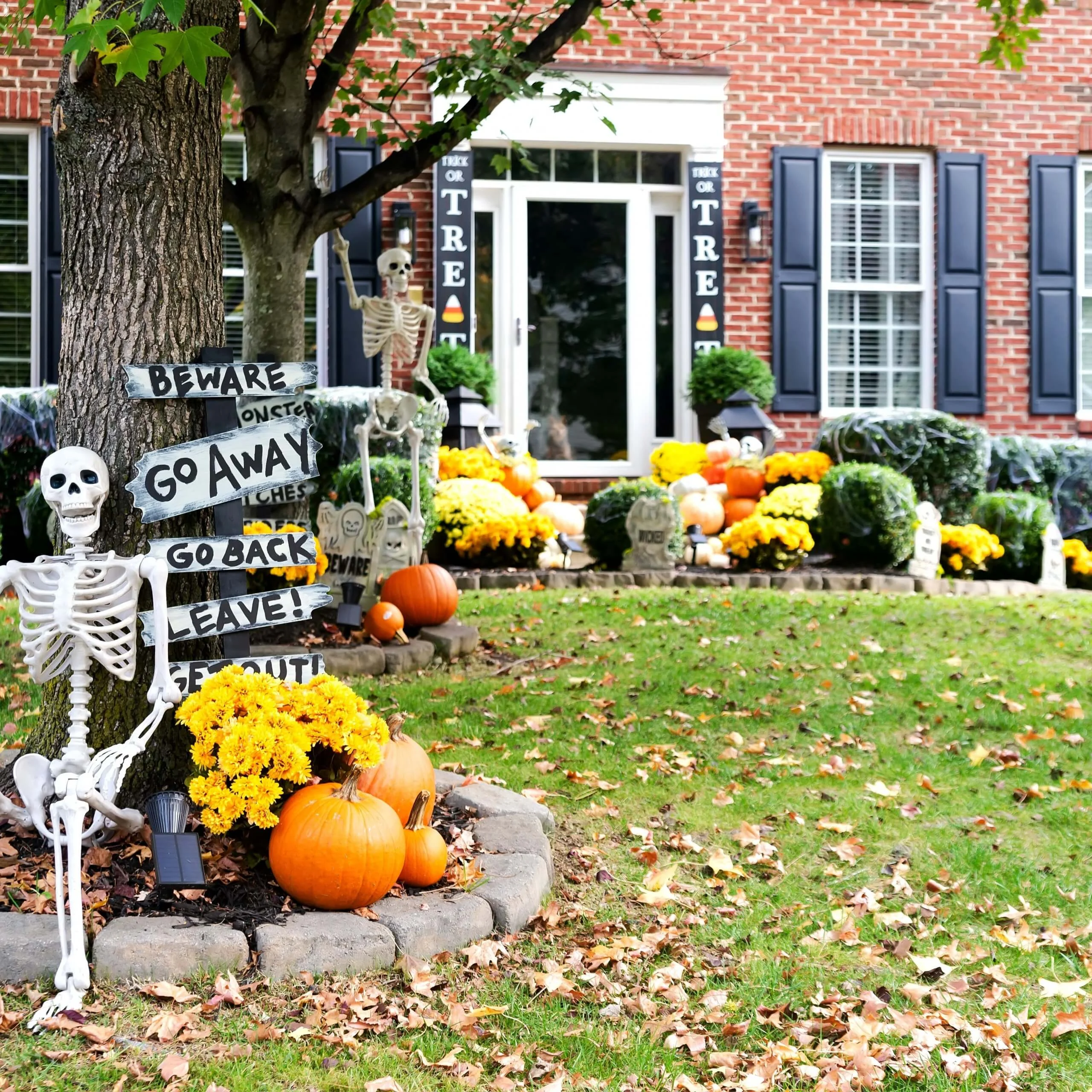 Spooky Tips to Ensure Only Treats and No Tricks for Birds This Halloween
