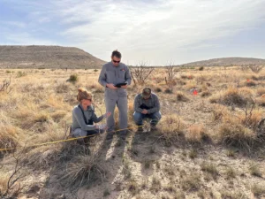 Experts from ABC and our partners work throughout the Americas to conserve birds and their habitats.
